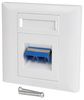 60201PI 60201PI - 1 Gang Twin SC Fibre Optic Faceplate, White