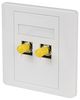 60202PI 60202PI - 1 Gang Twin ST Fibre Optic Faceplate, White