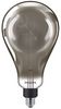 929002982501 929002982501 - 6.5W Classic Filament LED Giant GLS Bulb A160, E27, Dimmable, 1800K, 200lm
