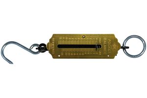 T6202 025 - 12.5kg Spring Loaded Hanging Weighing Scale