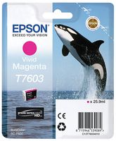 C13T76034010 - T7603 Original Ink Cartridge, Vivid Magenta