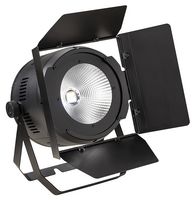 SCENIC W2001 - Scenic Warm & Pure White LED PAR Light with Barndoor, 200W