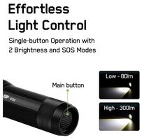 GPACT0C32000 - Discovery C32 LED Outdoor Torch, 300lm