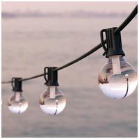 FSFL - Falmouth USB Solar Festoon Lights, Set Of 25 Glass Bulbs