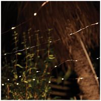 SC2109 - Solar Copper Wire Lights - 100 LEDs