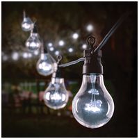 LV231260W - 20 Bulb Festoon Lights, White