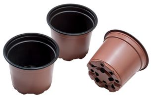 W0100 - 9cm Professional Growing Plant Pots, 10 Pack