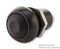 IPR1SAD2 - Push Button Switch, Off On, SPST, Latching,12V DC, 125V AC, 4A