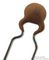 D221G39U2JH63J5R - Ceramic Disc Capacitor, 220 pF, 100 V, ± 2%, N750, 5 mm, Radial Leaded