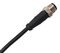 2MT3012-W04300 - Cable Assy, M12 Plug to Free End, 4 Way, IP67, 5A, 1m