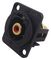 CP30230 - Red Phono (RCA) Feedthrough Panel Mount Connector, Black Plastic XLR Frame