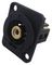 CP30231 - White Phono (RCA) Feedthrough Panel Mount Connector, Black Plastic XLR Frame