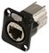 NE8FDX-P6-B - RJ45 Cat6 Socket to Socket Panel Mount Feedthrough Adaptor, Black Metal D-Shape Housing