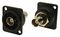 CP303090X - BNC 50Ohm to BNC 50Ohm, Panel Mount Feedthrough Connector, Black Metal, Plain Holes