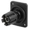 CP303010X - Panel Mount Binding Post, Black, 30A, Plain Holes