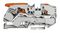 2116-5201 - 2 Conduct Through Terminal Block with Lever, Push Button and Test point, 35mm DIN Rail, 800V, 76A,  20AWG to 4AWG,