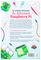 MAG34 - Official Raspberry Pi Beginners Guide, French
