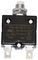 W54-XB1A4A10-15 - Thermal Circuit Breaker, W54, 15A, 1 Pole, 250V AC, Panel