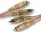B052 - Phono (RCA) Twin Male to Twin Male Lead, 2m Transparent