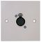 PELR0081 - 1 Gang Multimedia Wallplate, 3 Pin XLR Socket