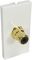 AV-MOD1RCABK - 1x Black RCA Female to Female Euro Module 50 x 25mm - Coupler