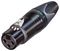 NC3FXX-B - Socket, XLR, Black, Gold