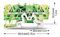 2002-1407 - 4 Conduct Ground Through Terminal Block, Push in Cage Clamp, 35mm DIN Rail Mount, 22AWG to 12AWG, Yellow / Green