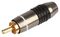 PSG08660 - RCA Phono Plug, Black / White, Gold Plated