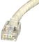 PXSPDY6C#10 - Speedy RJ45 Cat6 Offset Plugs, Pack of 10