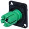 CP303015 - Panel Mount Binding Post, Green, 30A, CSK Holes