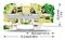 2006-1307 - 2 Conduct Ground Through Terminal Block, Push in Cage Clamp, 35mm DIN Rail Mount, 20AWG to 8AWG, Green