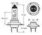 R474 - 24V 70W H7 Px26s Halogen Car Headlamp Bulb