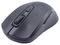24-0544 - Wireless Optical Mouse, Black