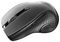 CNS-CMSW01B - Wireless Optical Mouse with Blue LED Sensor, Gloss Black