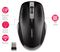 JW-T0320 - CHERRY MW 2310 2.0 Wireless Mouse, Black