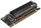 AK-PCCM2P-05 - M.2 NVMe SSD to PCI-Ex Adaptor Card with Heatsink Cooler