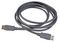 AK-CBDP23-30BK - 8K UHD 60Hz DisplayPort 1.4 Lead, 3m Black