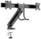 7350073739981 - M Deskmount Slim Basic Dual Monitor Mount VESA 17" to 27"