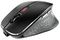 JW-8600 - CHERRY MW 8C ERGO Wireless RF / Bluetooth Mouse, Black