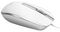 MOU-M100-USBC-WH - M100 USB-C Optical Mouse for Mac, Silver / White