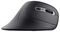 23507 - Verro Ergonomic Wireless Mouse, Black