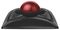 K72359WW - Expert Mouse Wireless Trackball with Scroll Ring, Black