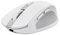 24933 - Ozaa Compact Multi-Device Rechargeable Wireless Optical Mouse, White