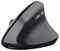 25371 - TM-270 Wireless Rechargeable Ergonomic Mouse, Black