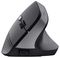 25371 - TM-270 Wireless Rechargeable Ergonomic Mouse, Black