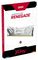 KF564C32RWA-16 - 16GB FURY Renegade RGB DDR5-6400 PC5-51200 UDIMM RAM Memory Module, White / Silver