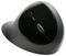 K75404EU - Pro Fit Ergo Wireless Mouse, Black