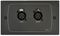 BE1B - Wall Plate - 2x Remote Line (XLR Female) Inputs, Balanced