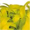 62040Y - Handheld Streamer Cannon Pro 80CM, Yellow