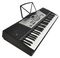 NJS800 - 61 Key Digital Keyboard with Stand